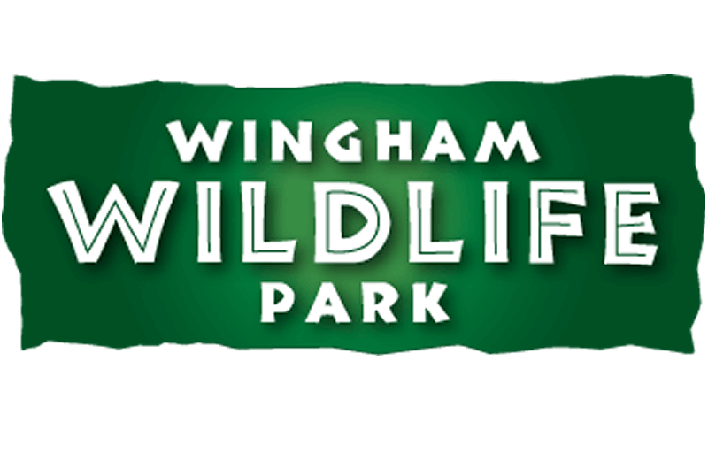 wingham wildlife park