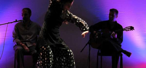 flamenco BL5xJm.tmp